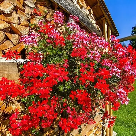 Sonnenhugel Guest house *