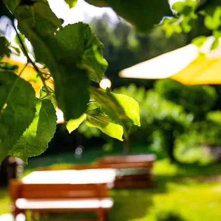 Guest house Sonnenhugel *